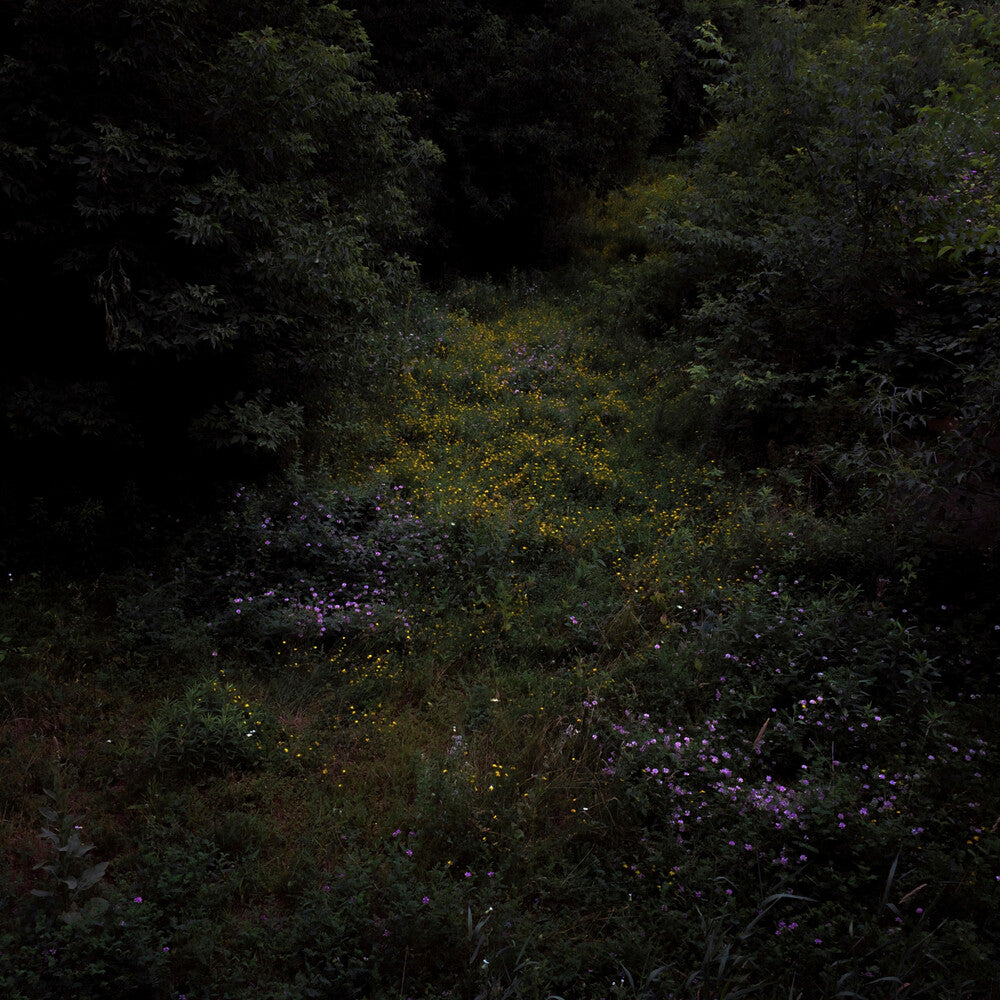 the album cover for Fireworks - Higher Lonely Power (Blk) [Colored Vinyl] (Can)