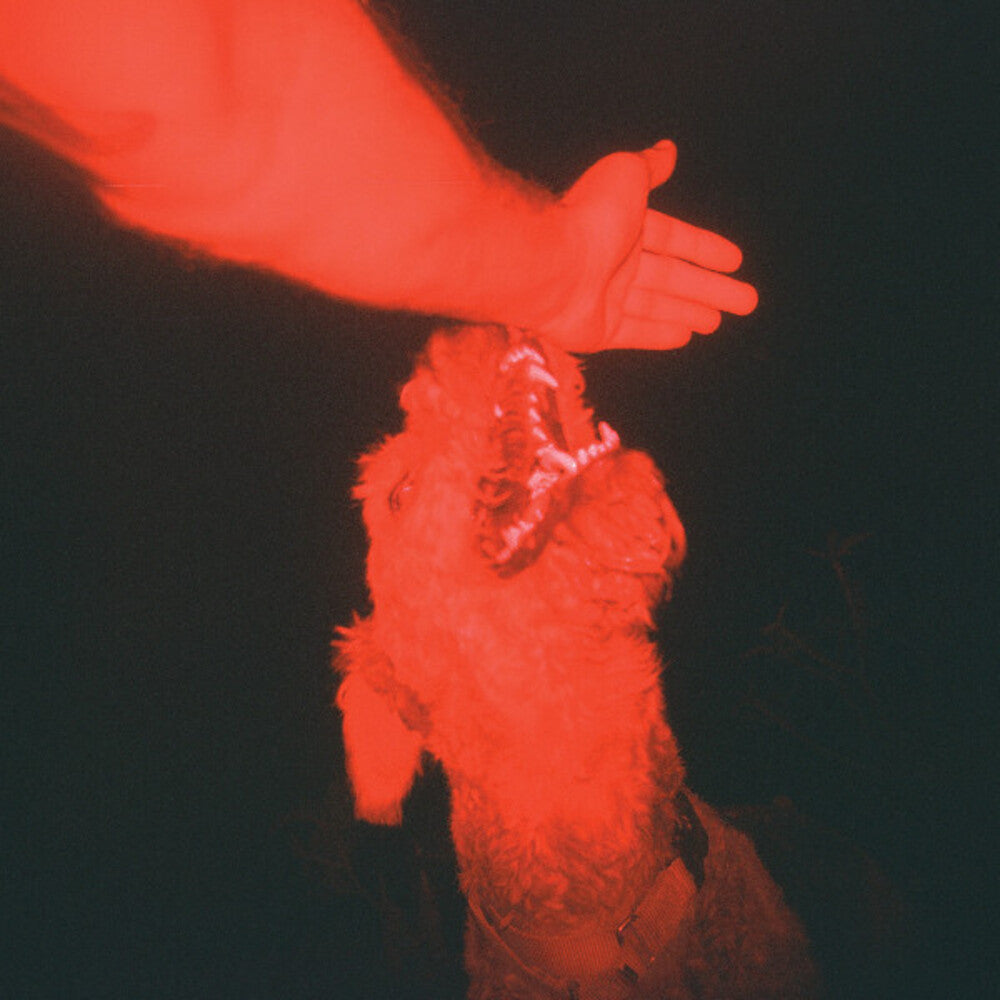 the album cover for Eli Winter - Trick Of The Light [Clear Vinyl] (Red)