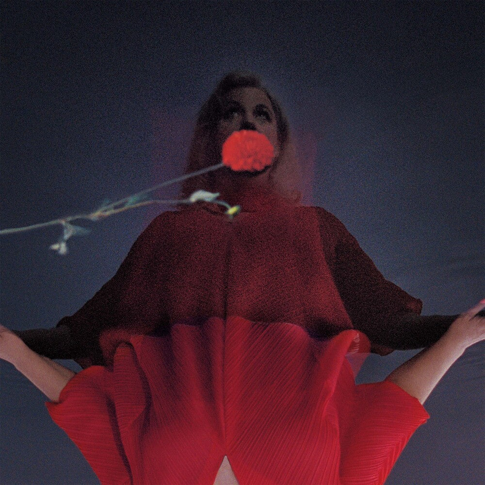 the album cover for Amy Millan - I Went To Find You - Pink [Colored Vinyl] (Pnk)