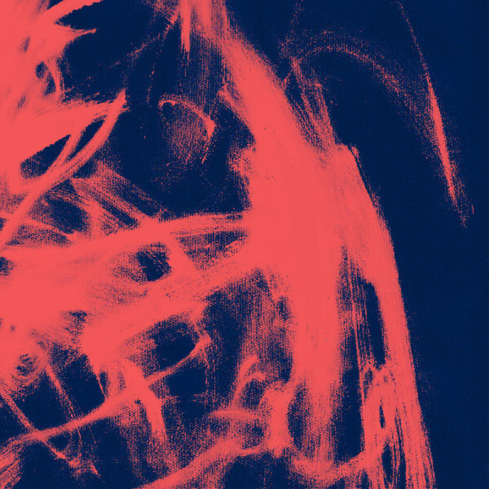 the album cover for Rival Consoles - Landscape From Memory [Clear Vinyl] [Indie Exclusive] [Download Included]