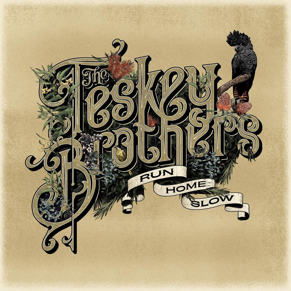 the album cover for Teskey Brothers - Run Home Slow