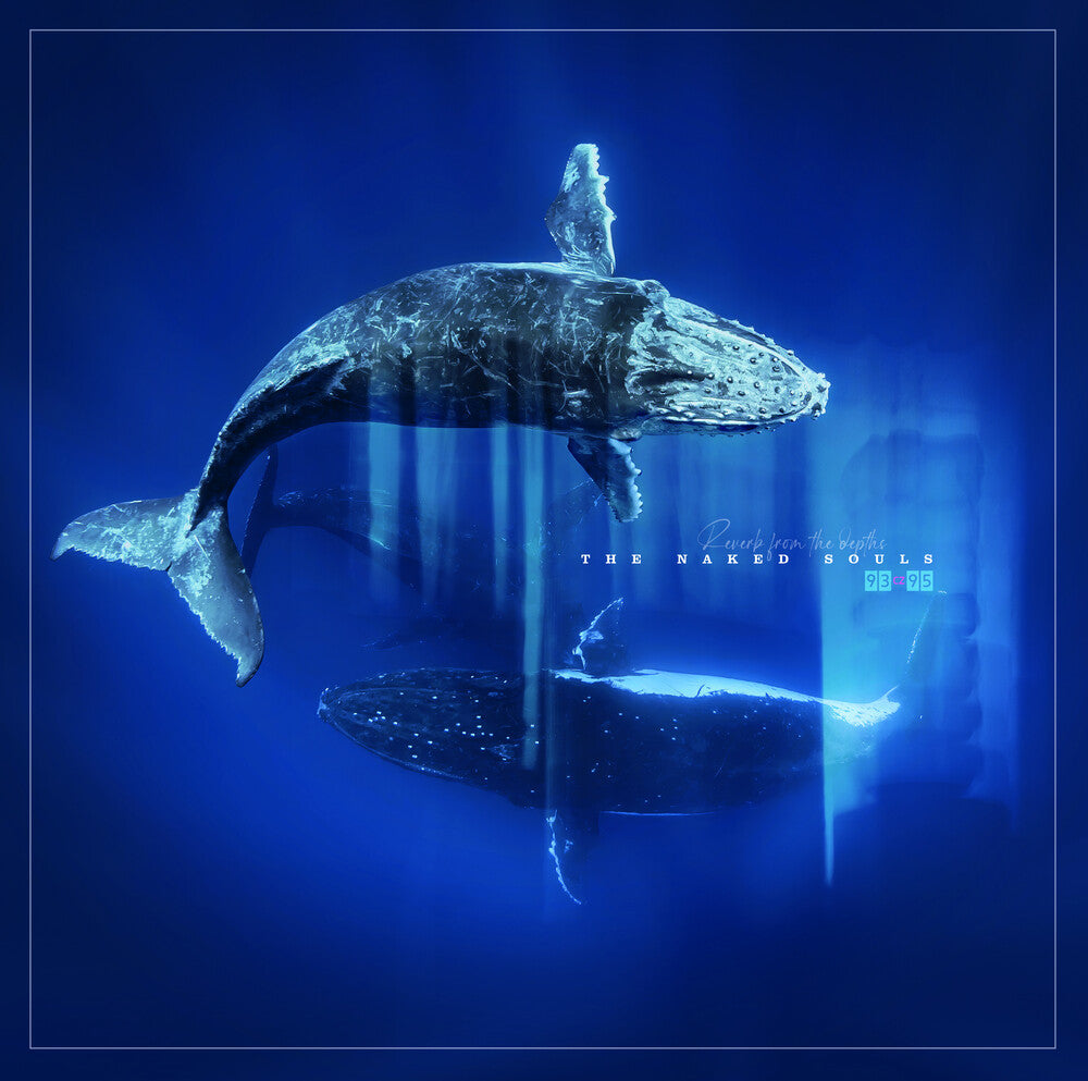 the album cover for Naked Soul - Reverb From The Depths