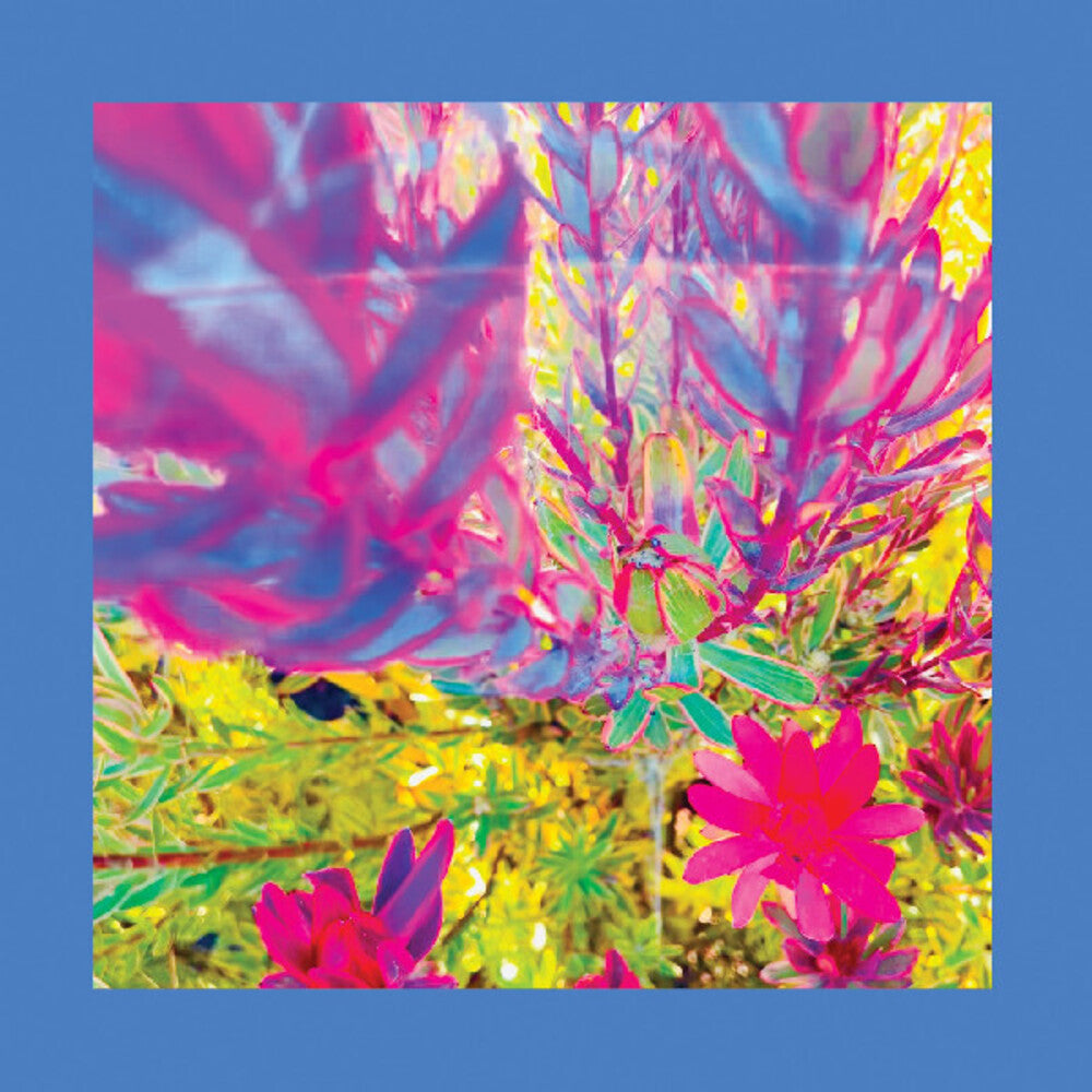 the album cover for Reds Pinks & Purples - Past Is A Garden I Never Fed [Colored Vinyl, Pink]