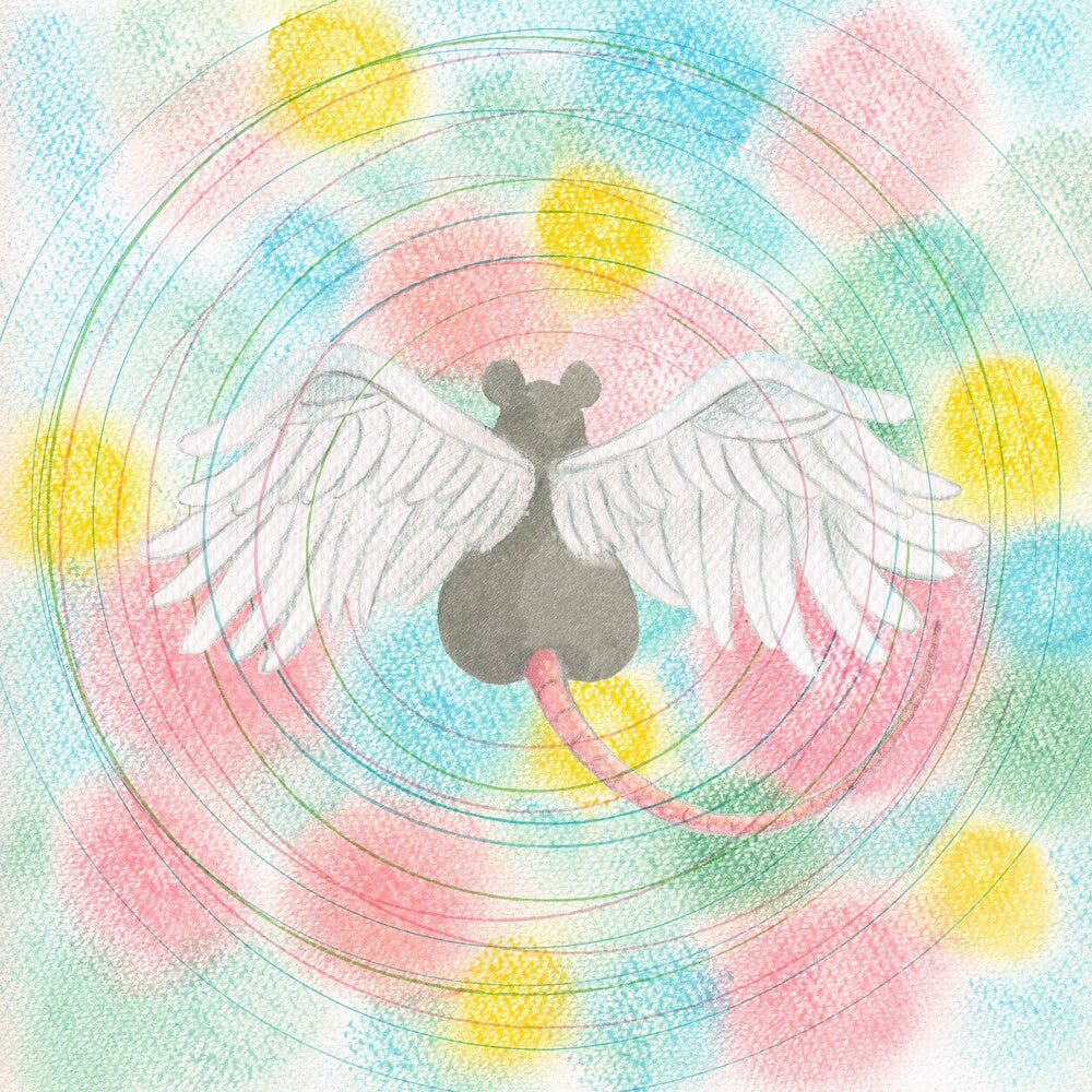 the album cover for Mei Semones - Animaru