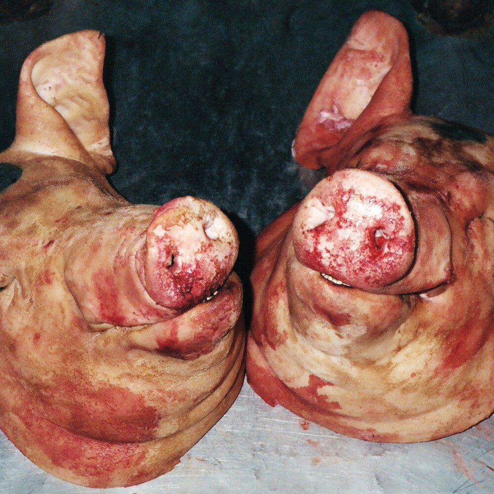 the album cover for Armand Hammer & Alchemist - Haram
