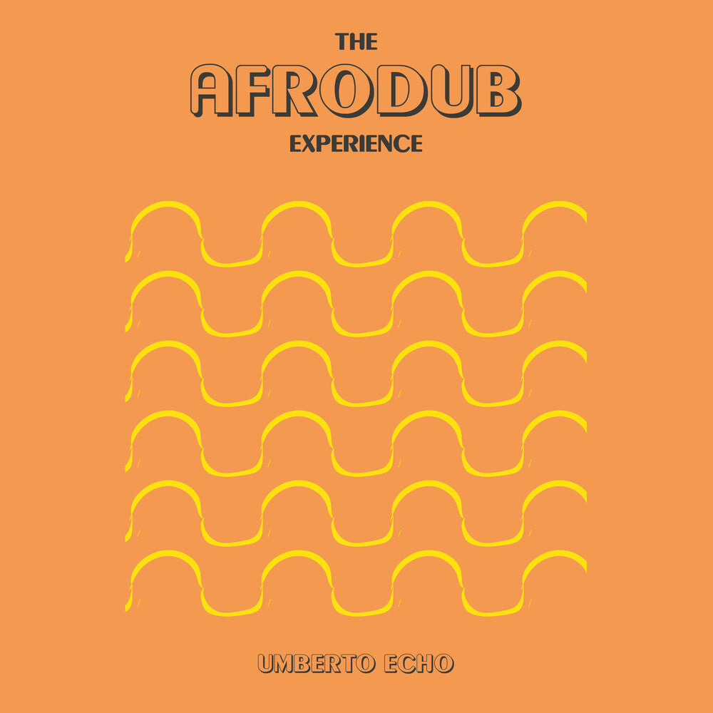 the album cover for Umberto Echo - Afrodub Experience