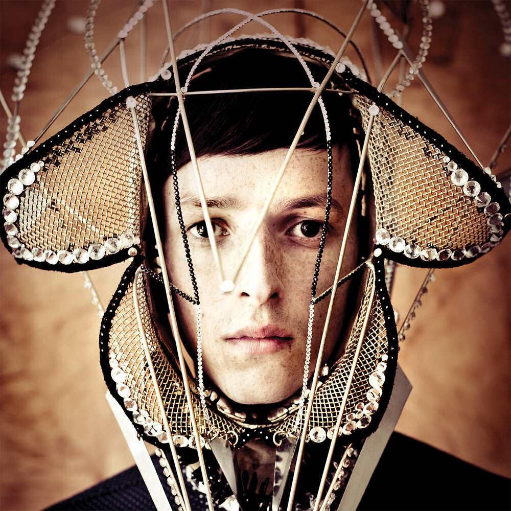 the album cover for Totally Enormous Extinct Dinosaurs - Trouble [180 Gram] (Uk)
