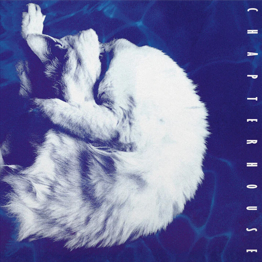 the album cover for Chapterhouse - Whirlpool [180 Gram Black/White Marble]