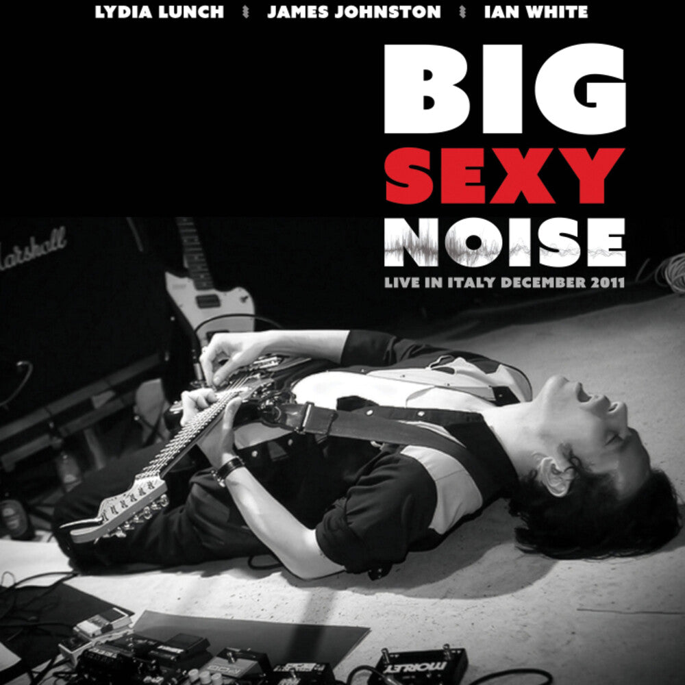the album cover for Big Sexy Noise - Live in Italy