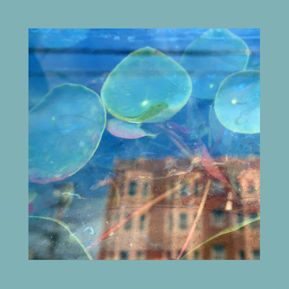 the album cover for Reds Pinks & Purples - Acknowledge Kindness [Indie Exclusive Subconscious Window]