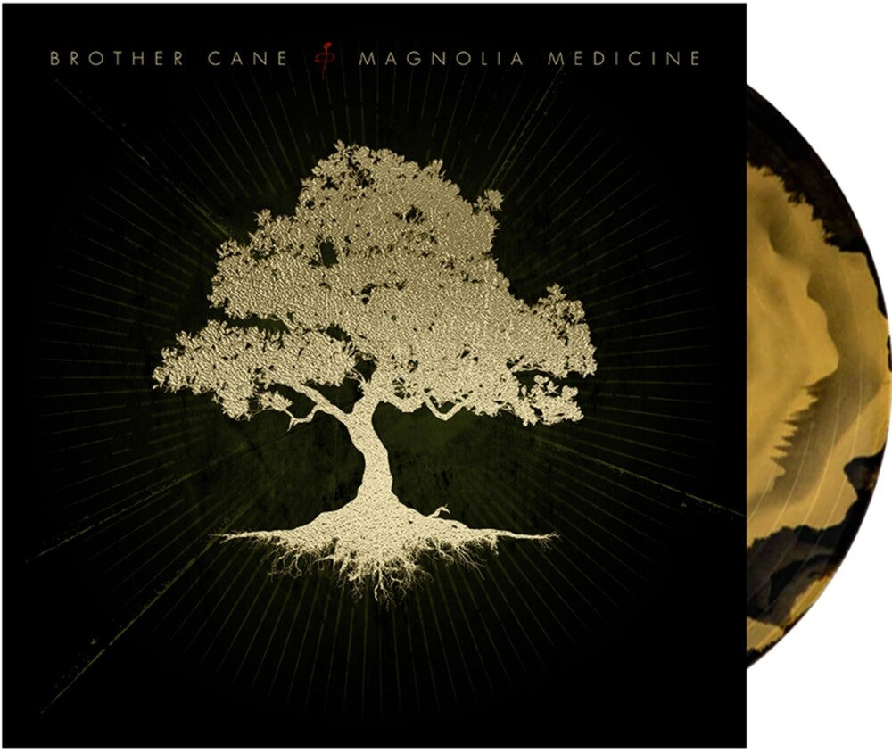 the album cover for Brother Cane - Magnolia Medicine [Indie Exclusive Clear Black Gold Splatter]