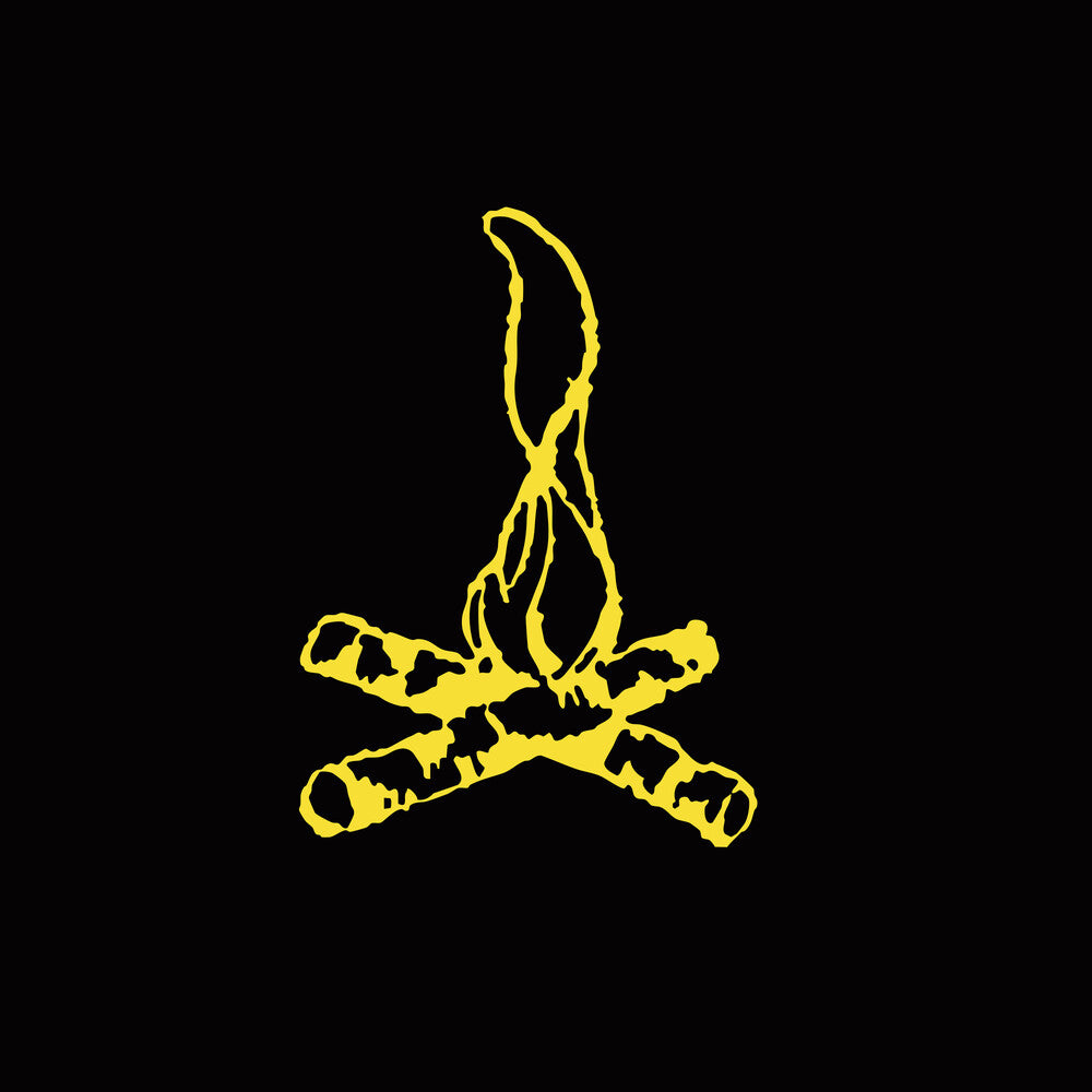the album cover for Frank Turner - Campfire Punkrock 20