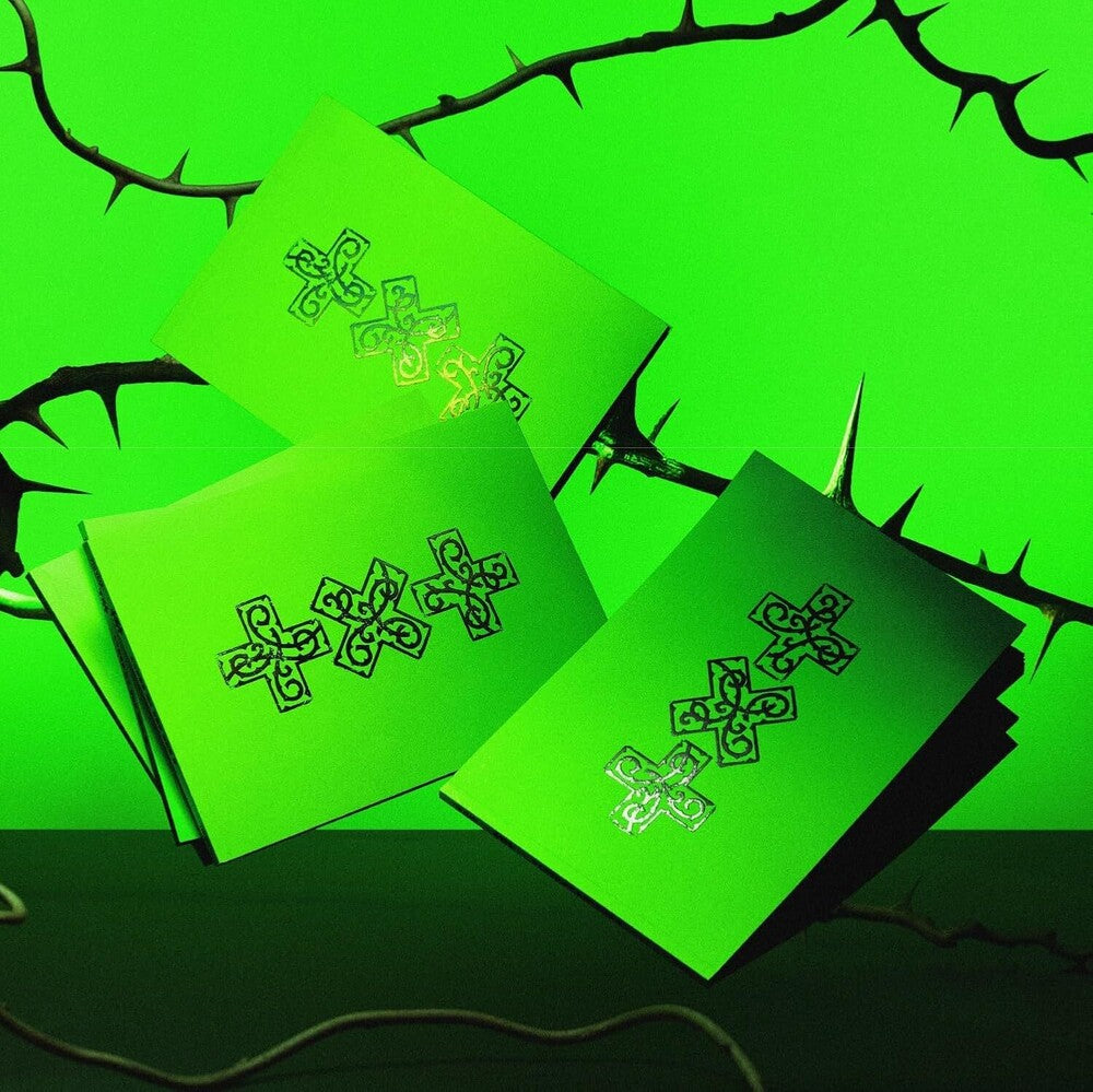 the album cover for TOMORROW X TOGETHER - 7TH YEAR: A Moment of Stillness in the Thorns [THORN ver.]