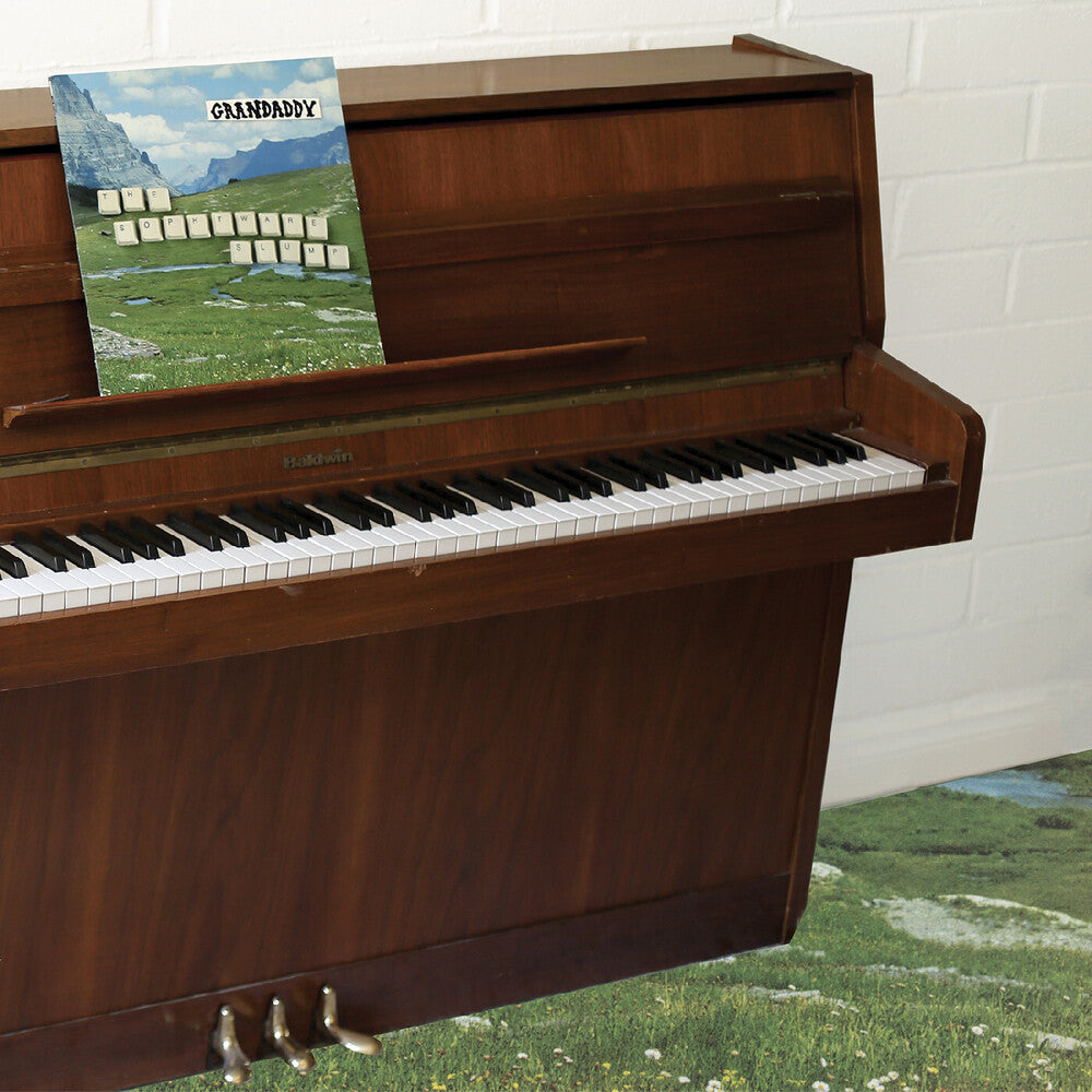 the album cover for Grandaddy - Sophtware Slump On A Wooden Piano [Eco Mix]