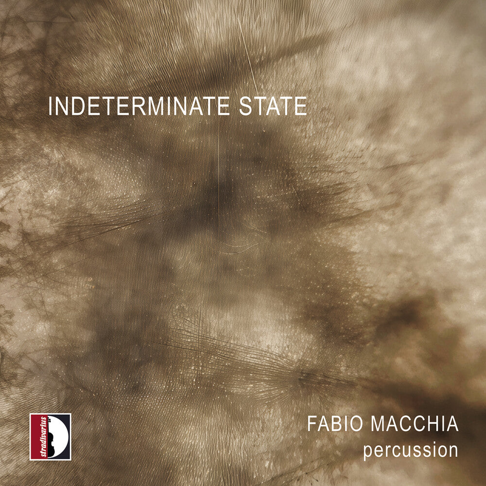 the album cover for Fabio Macchia - Indeterminate State - Fabio Macchia