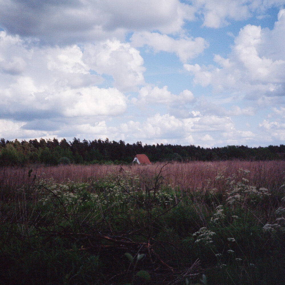 the album cover for Kris Tiner  / Pineda,Cathlene - Sung