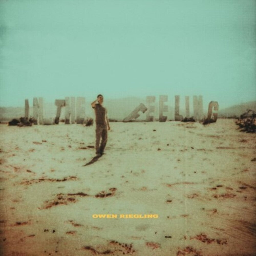 the album cover for Riegling, Owen - In The Feeling