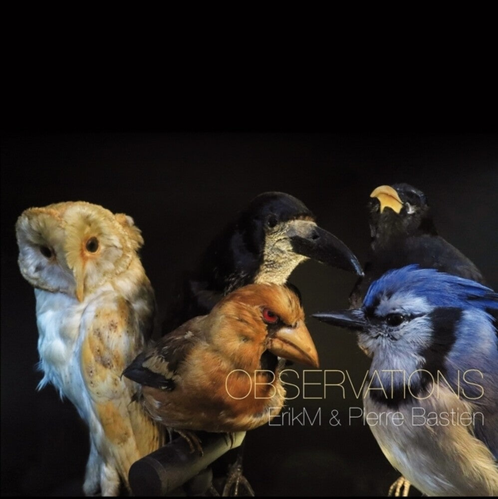 the album cover for Erikm / Pierre Bastien - Observations
