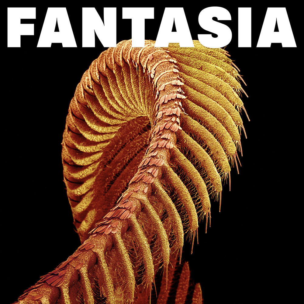 the album cover for SLIFT - Fantasia [Yellow]