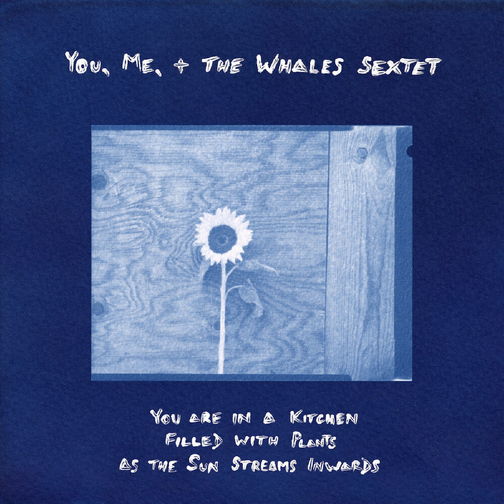 the album cover for You, Me, + The Whales Sextet - You Are In A Kitchen Filled With Plants As The Sun