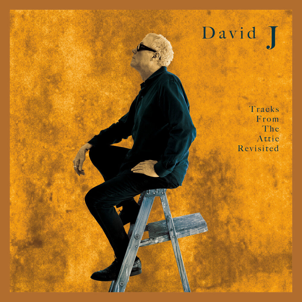 the album cover for David J - Tracks From The Attic Revisited