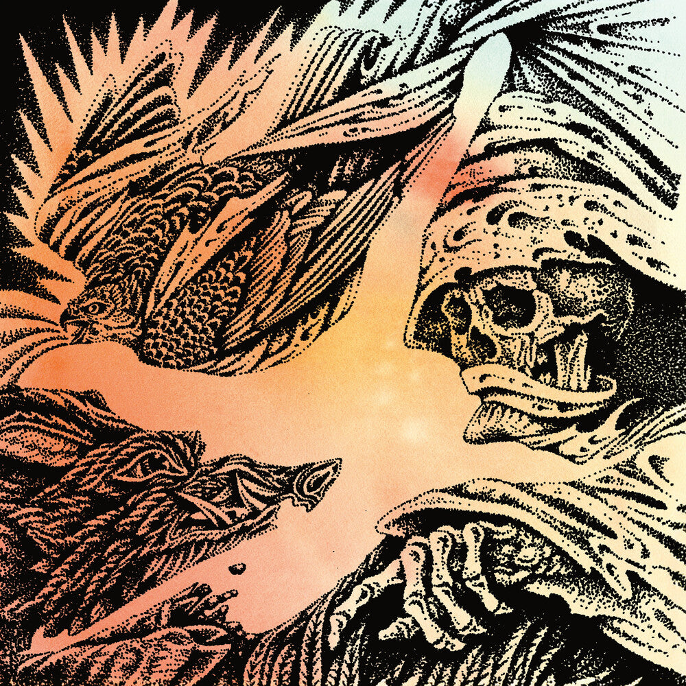 the album cover for Heavy Eyes - Focus