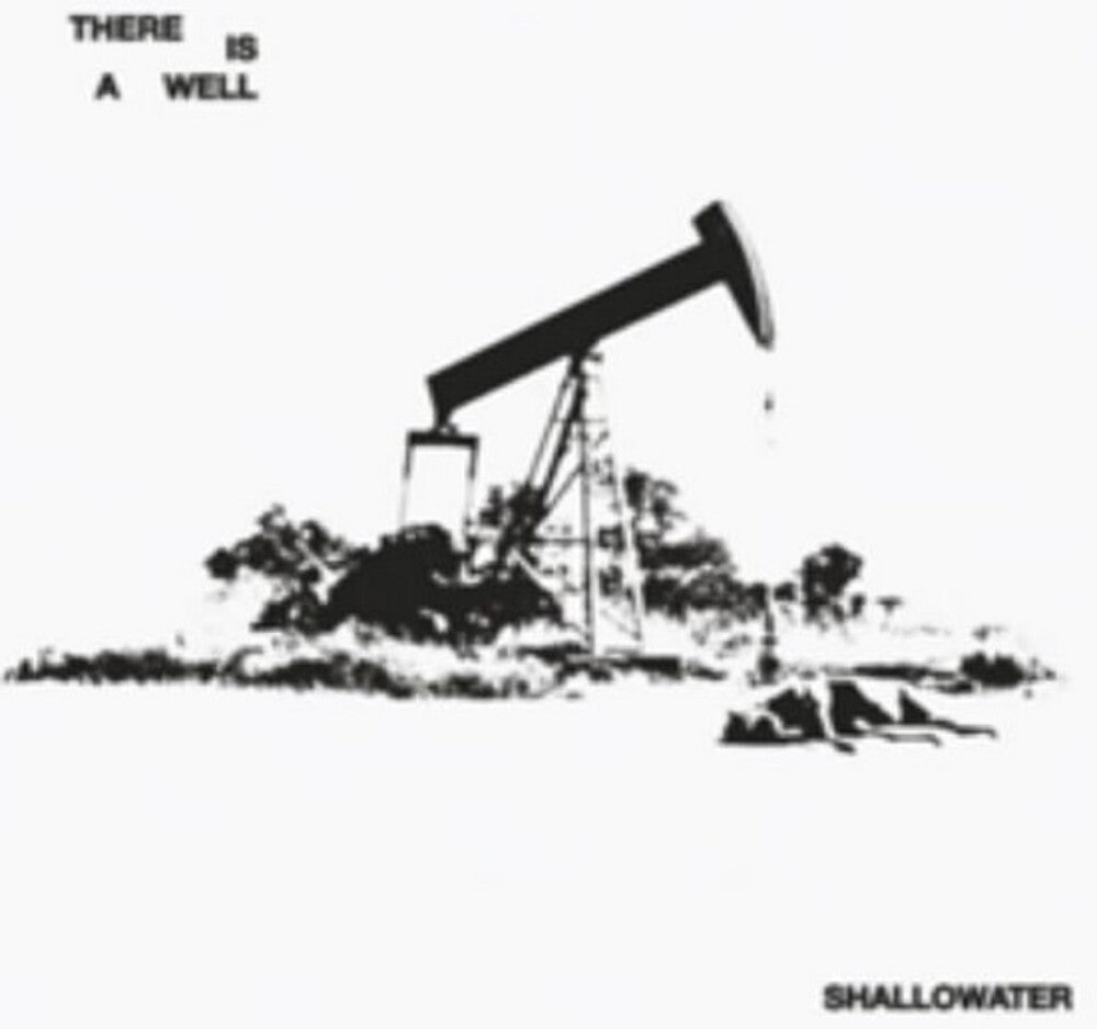 the album cover for Shallowater - There Is A Well [Colored Vinyl]