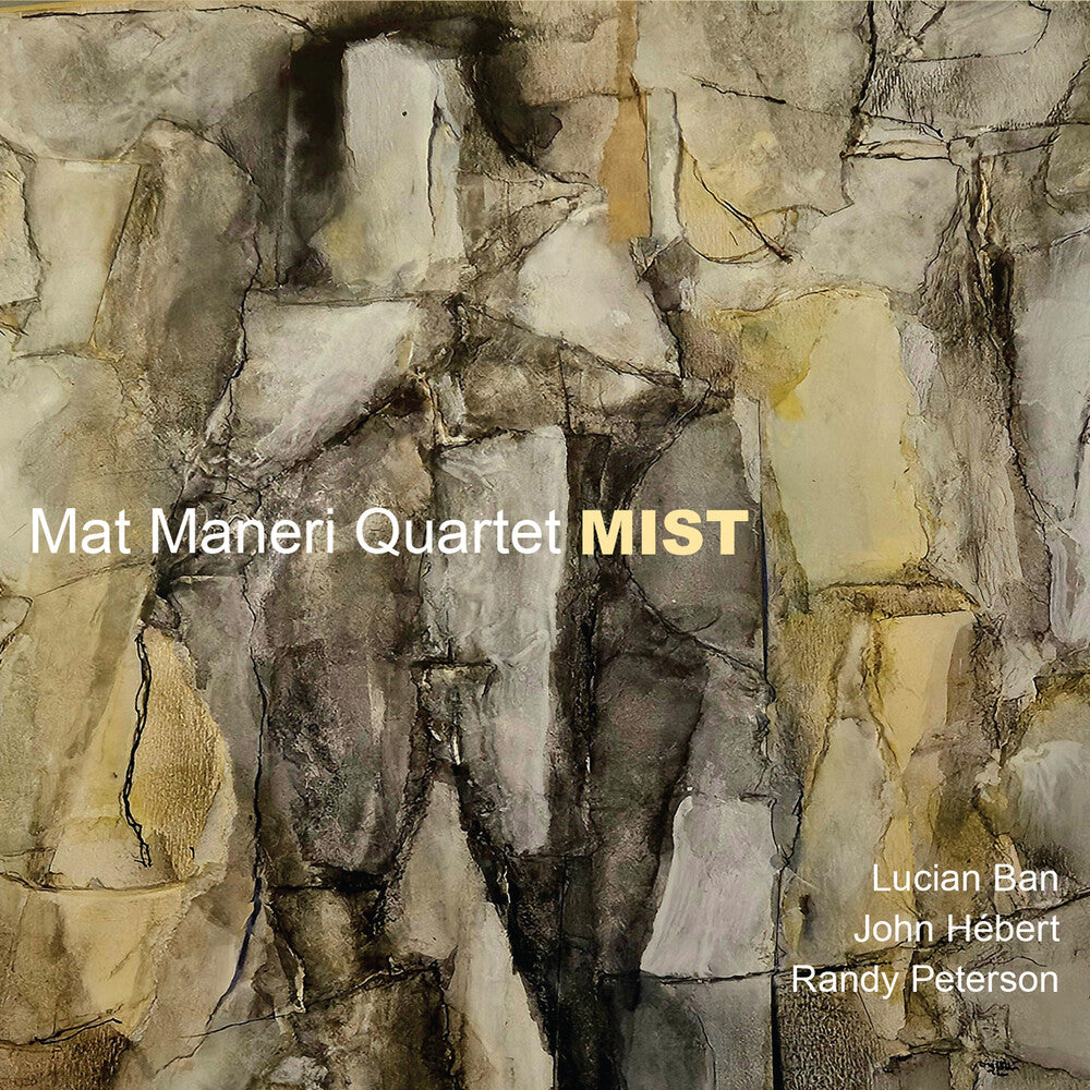the album cover for Mat Maneri - Mist