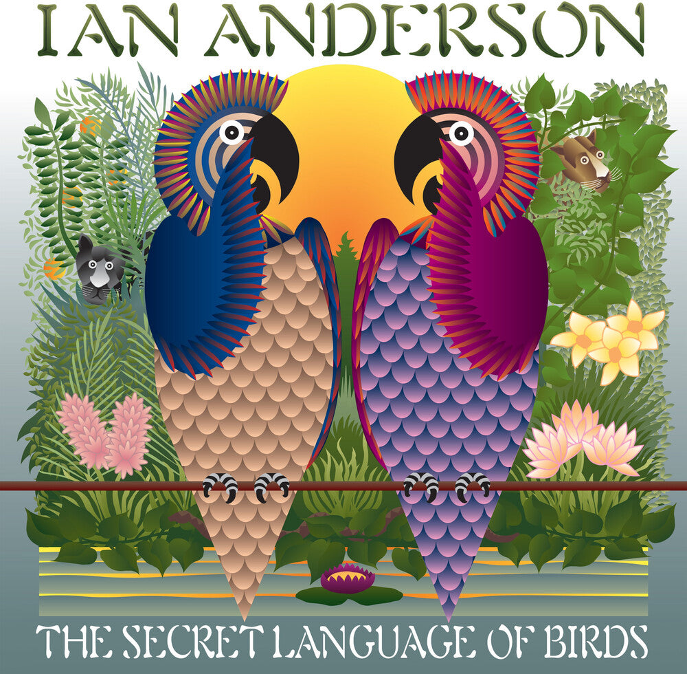 the album cover for Ian Anderson - Secret Language Of Birds