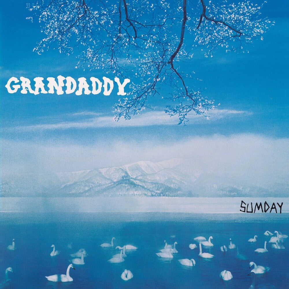 the album cover for Grandaddy - Sumday
