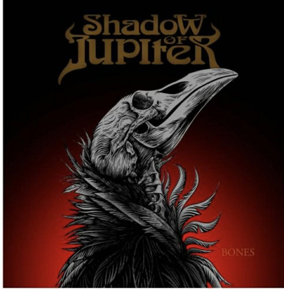 the album cover for Shadow Of Jupiter - Bones