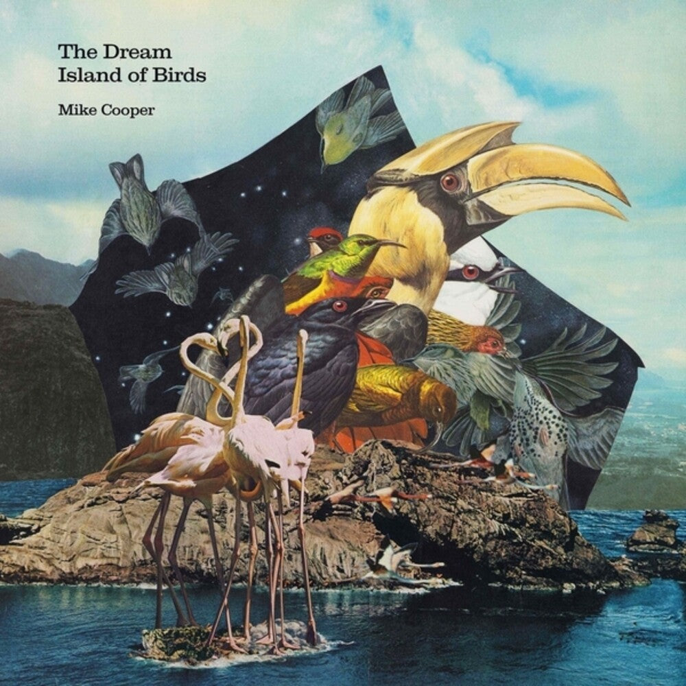 the album cover for Mike Cooper - Dream Island of Birds
