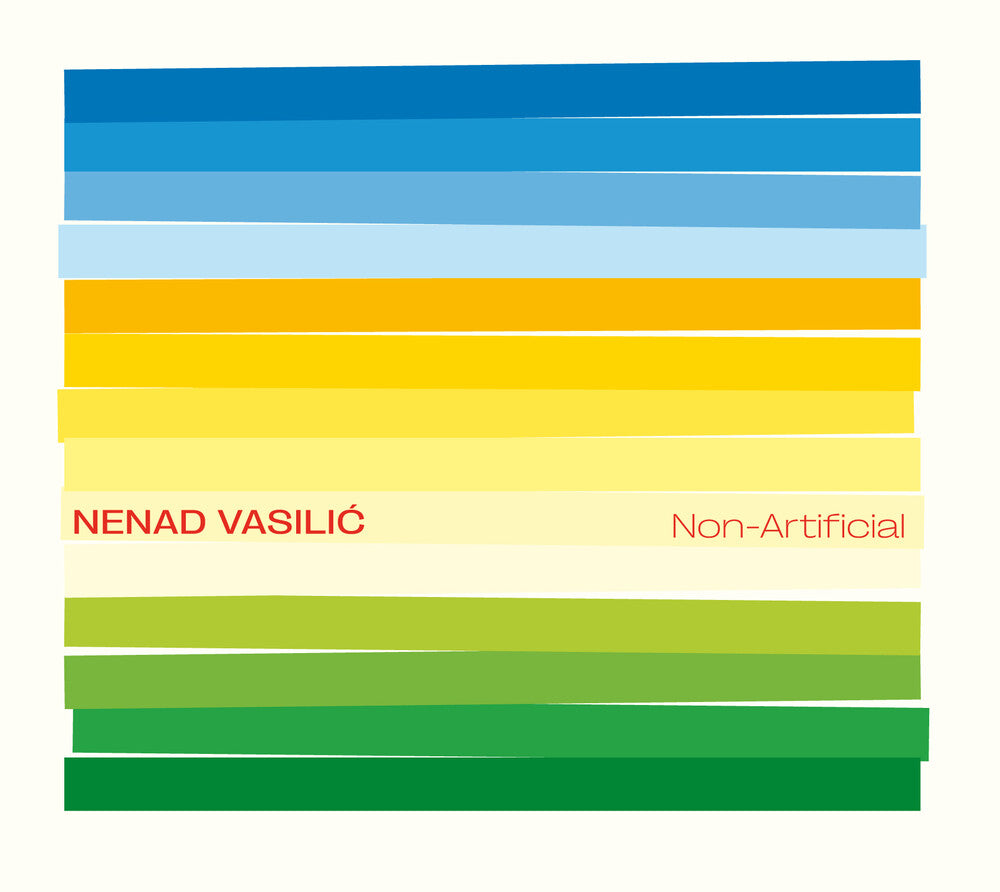 the album cover for Nenad Vasilic - Non Artificial