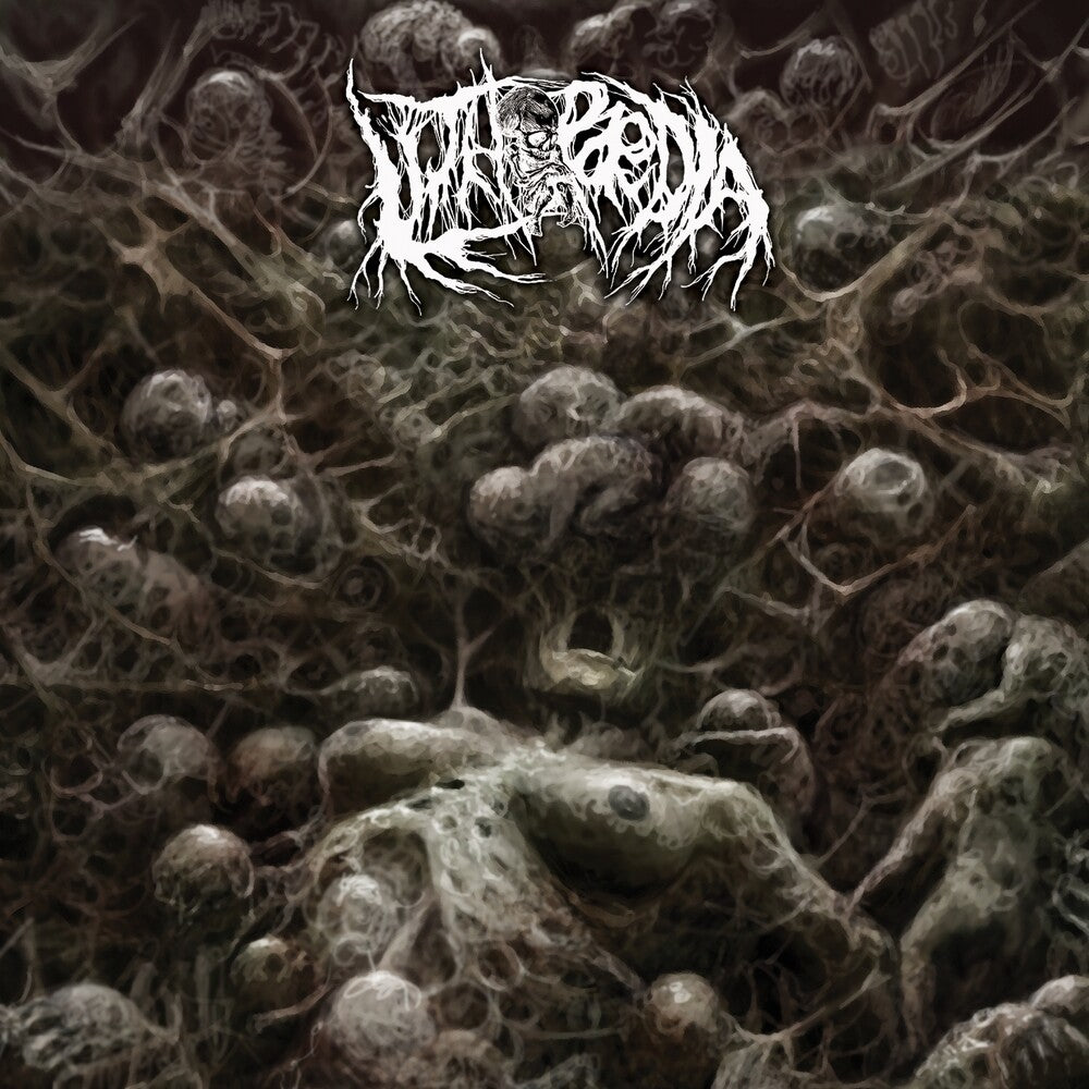 the album cover for Lithopaedia - Inferno