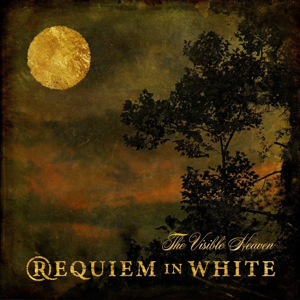 the album cover for Requiem In White - Visible Heaven