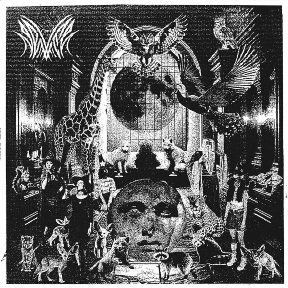 the album cover for Never - Gray