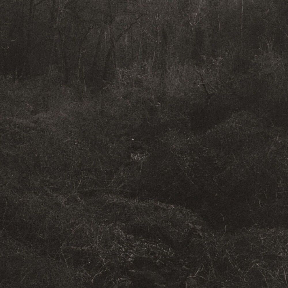 the album cover for Lesley Mok - Transient [Download Included]