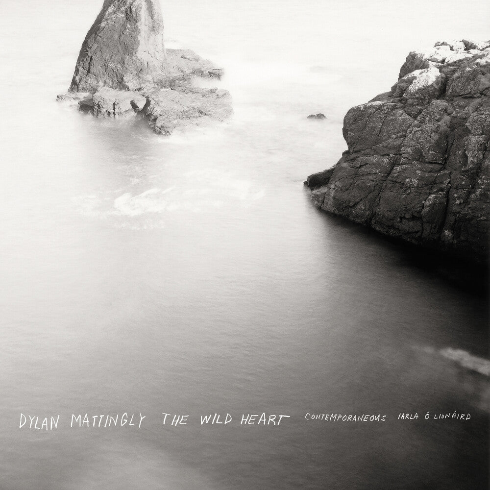 the album cover for Dylan Mattingly - Wild Heart