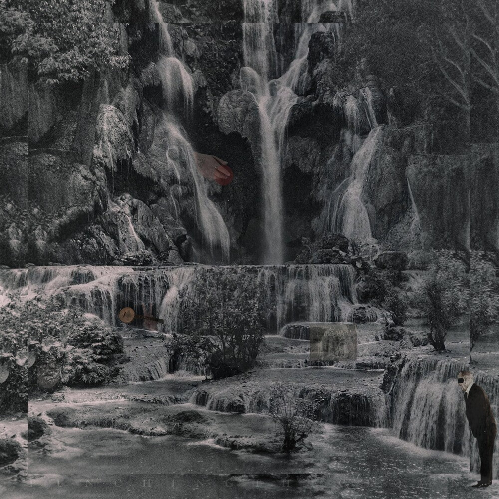 the album cover for Lambchop - Punching the Clown (frosted Clear Vinyl) (i)