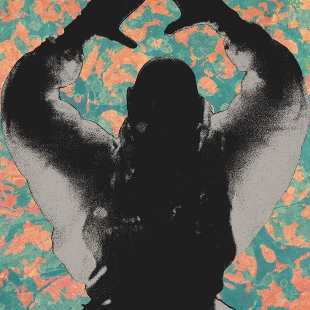 the album cover for Startled Insects - Antenna Years