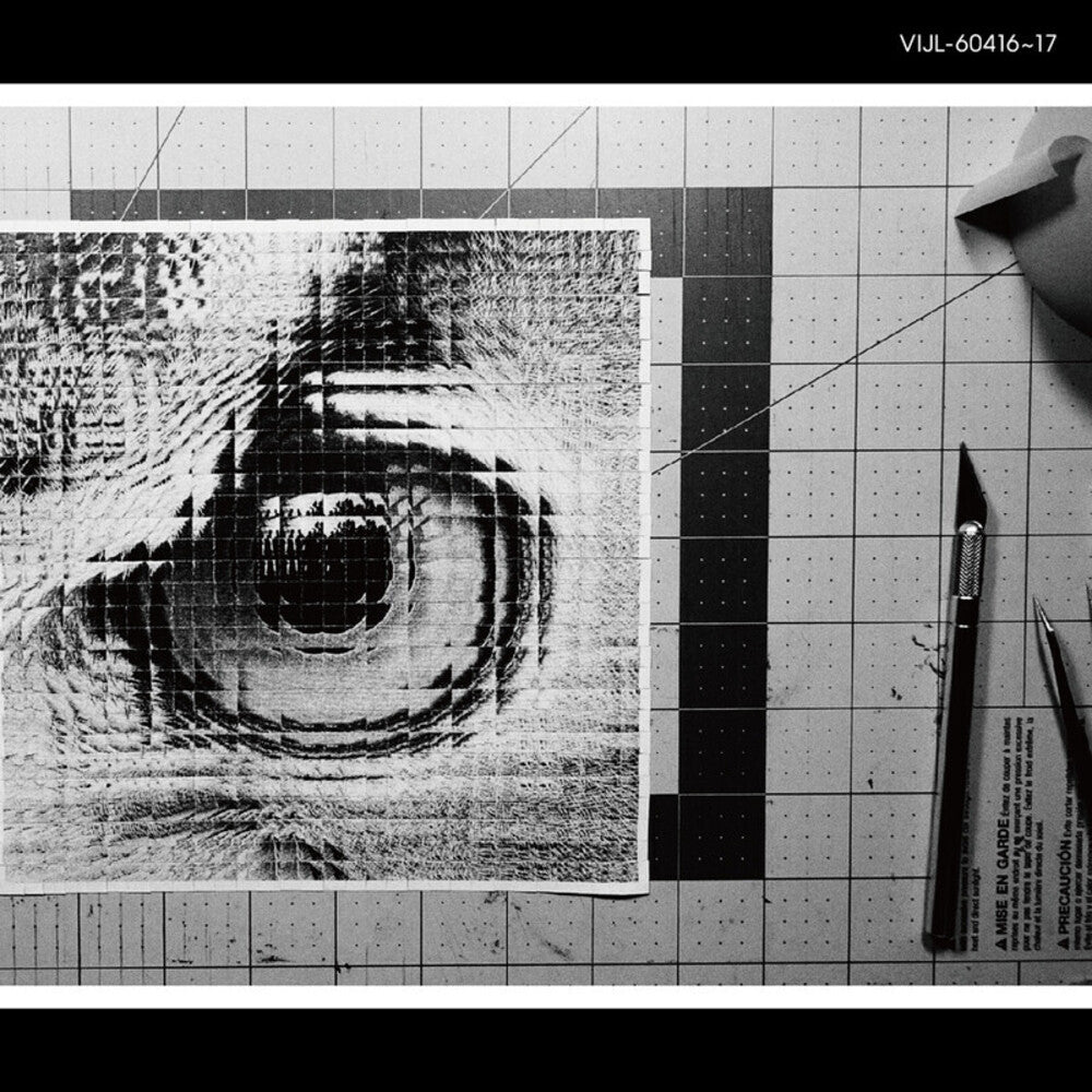 the album cover for Sakanaction - Adapt (180g/2lp)