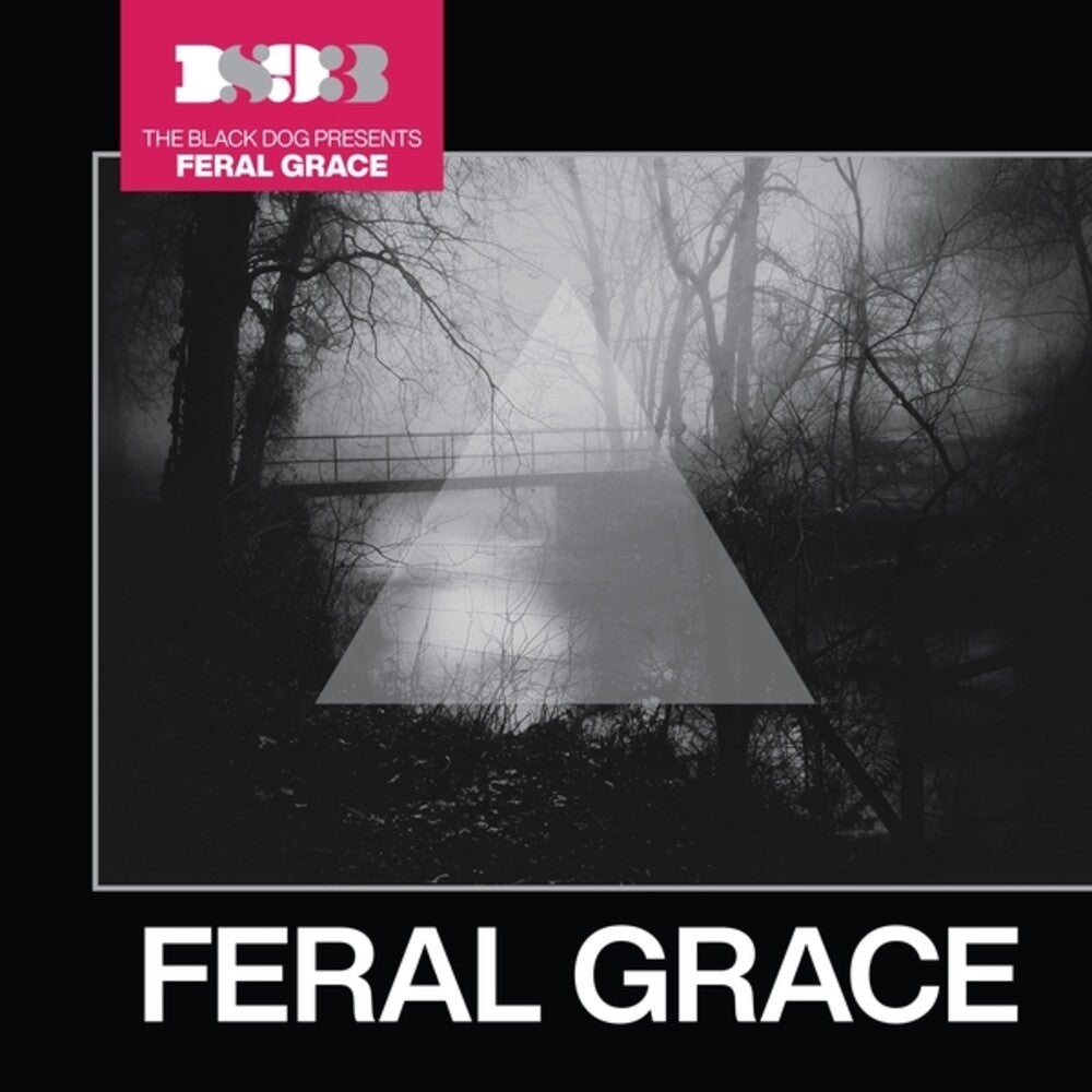 the album cover for Black Dog - Feral Grace