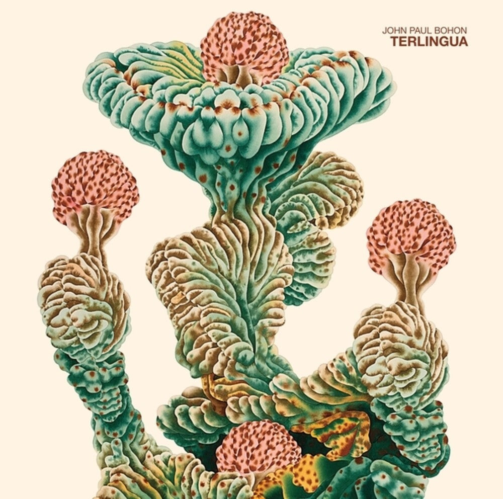 the album cover for John Paul Bohon - Terlingua