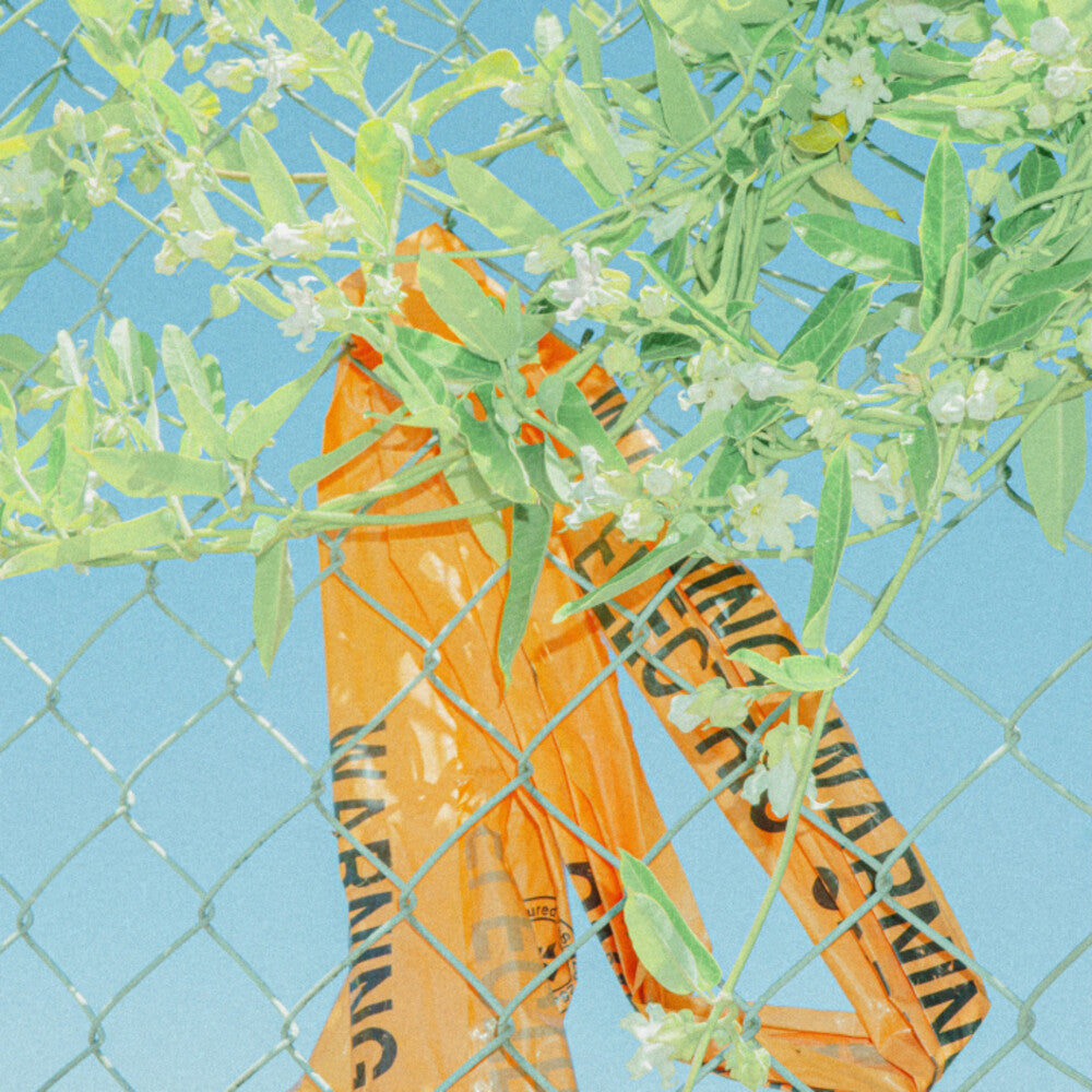 the album cover for Lockstep - I Know What I Saw [Colored Vinyl]