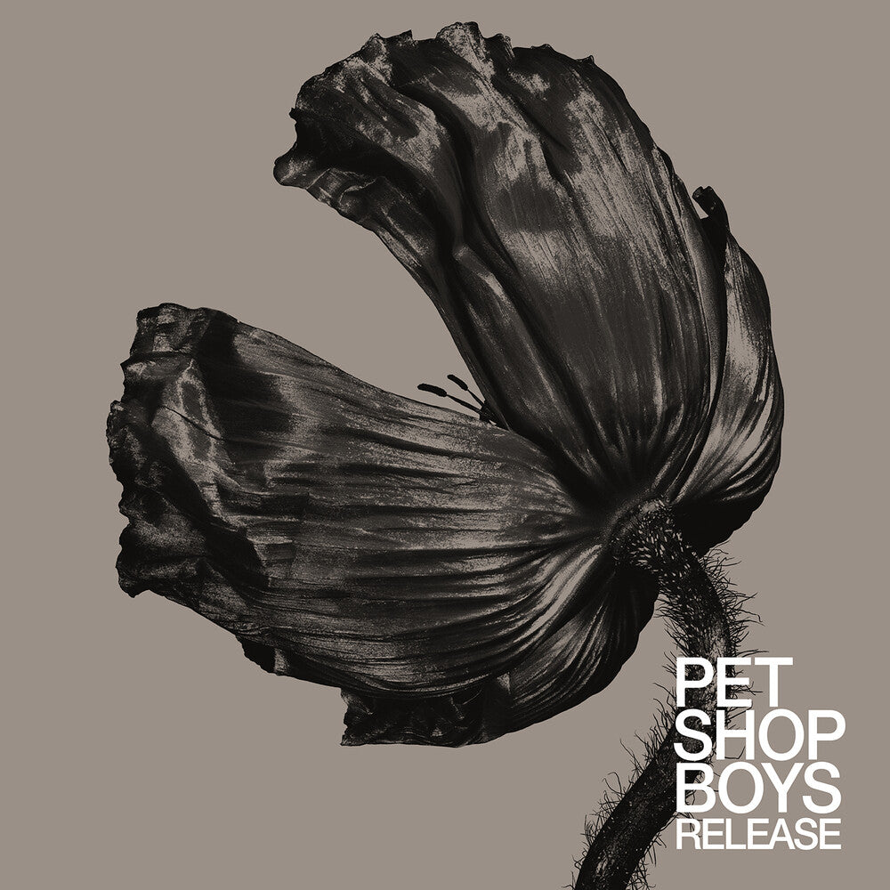 the album cover for Pet Shop Boys - Release (2017 Remaster)