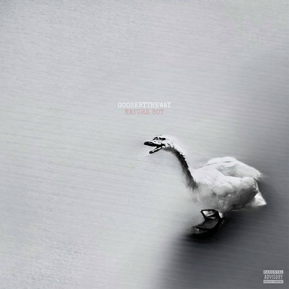 the album cover for Goosebytheway - Nature Boy [White]