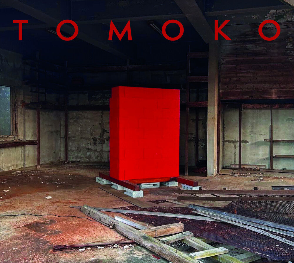the album cover for Geins't Nait & Lo - Tomoko