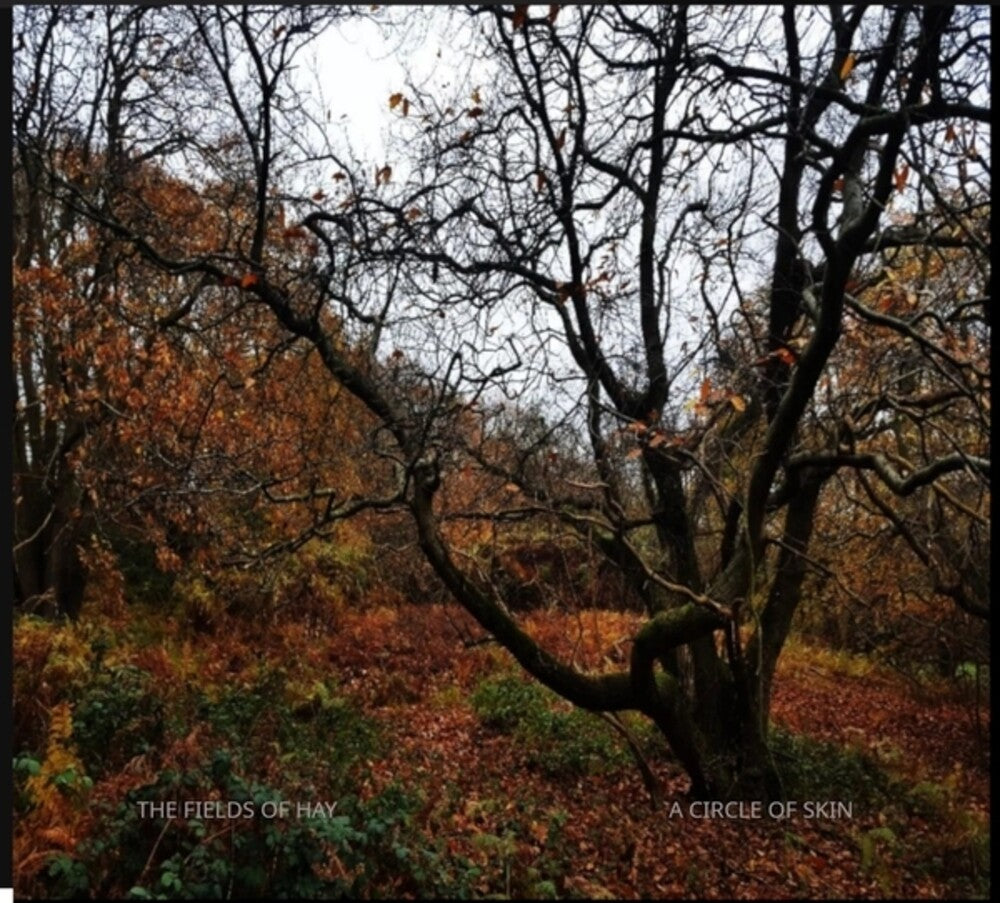 the album cover for Fields of Hay - Circle of Skin