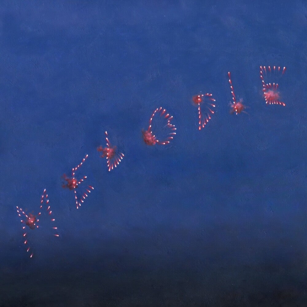 the album cover for Slow Pulp - Melodie