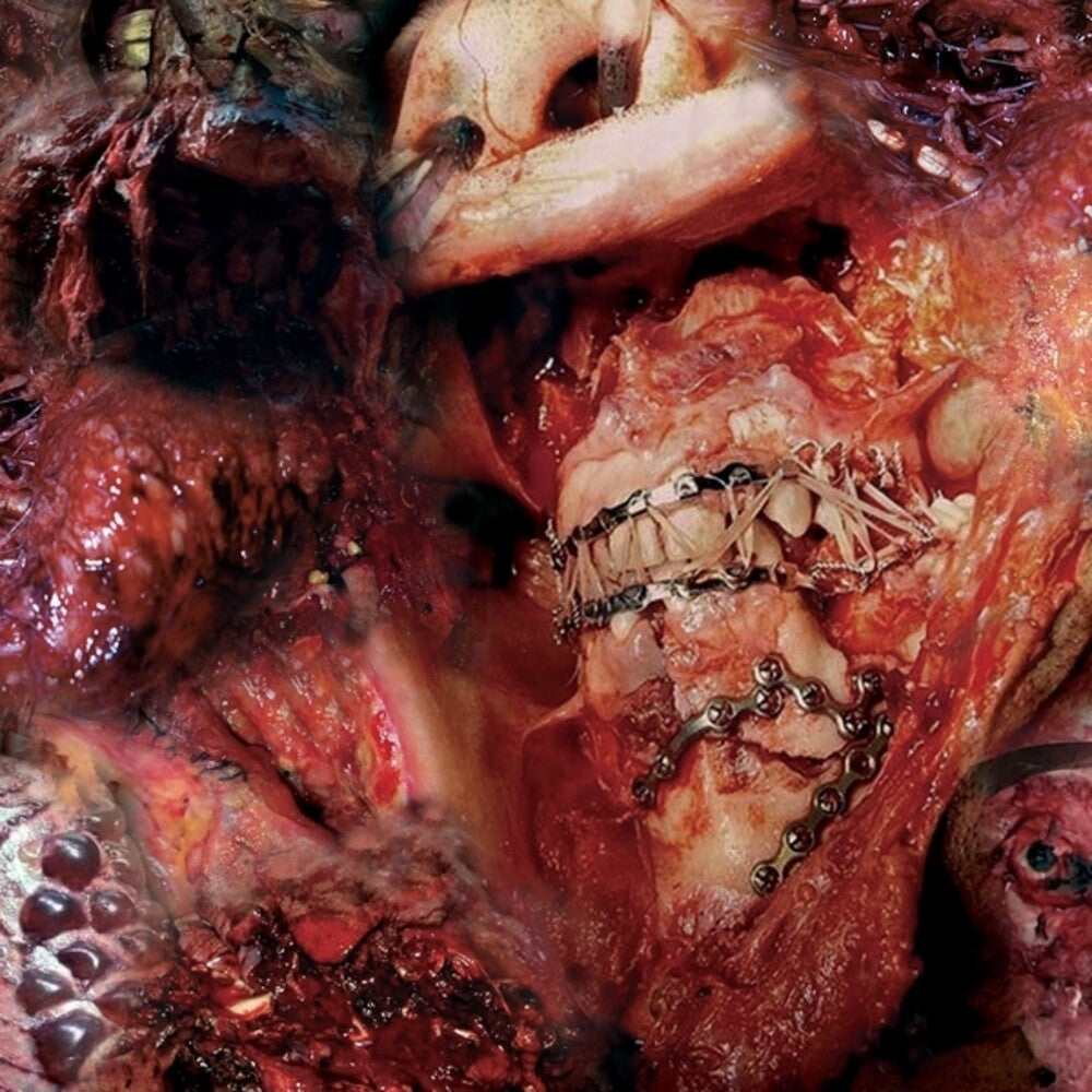 the album cover for Sion Orgon - Discord in Disorder